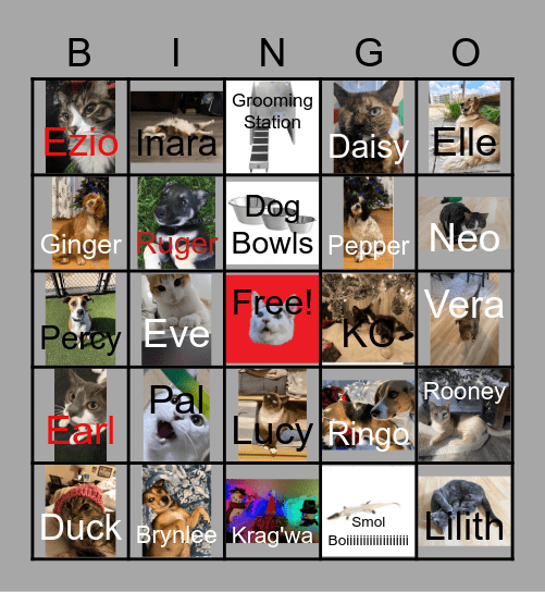 PetstaurantStore Bingo Card