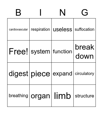 Body Systems Bingo Card