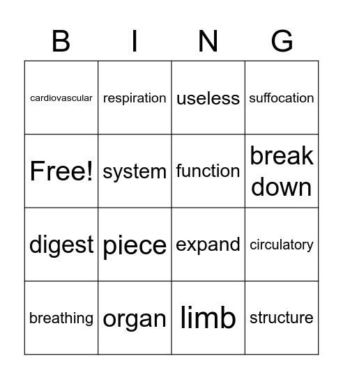 Body Systems Bingo Card