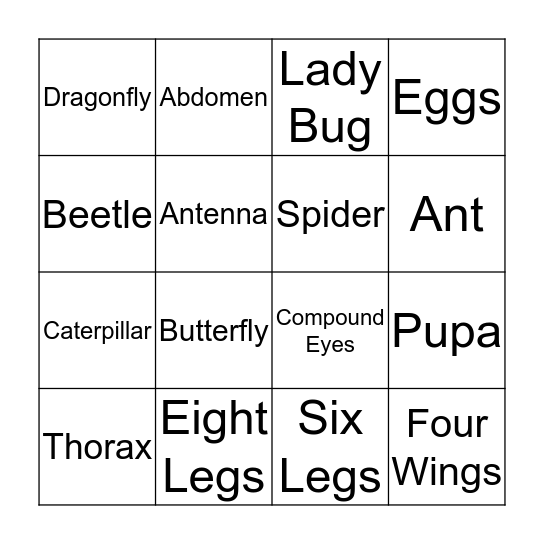 Insect Bingo Card