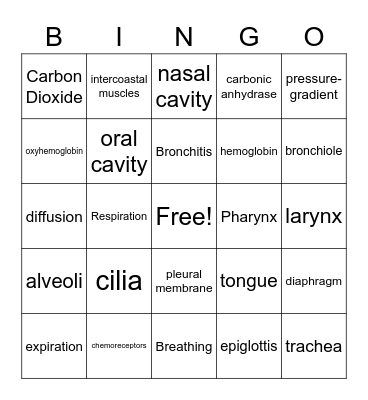 Respiratory System Bingo Card