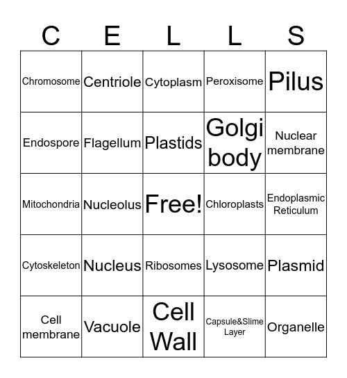 Cells Bingo Card
