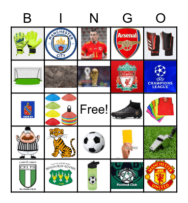 OGWEN TIGERS BINGO Card