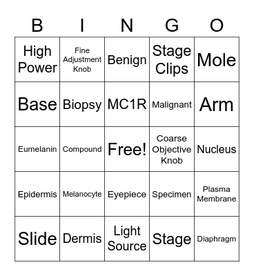 Observing Skin Cells BINGO Card