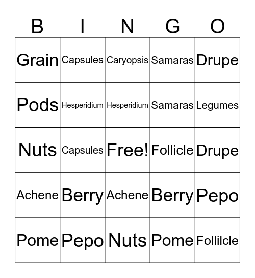 Fruit Types Bingo Card
