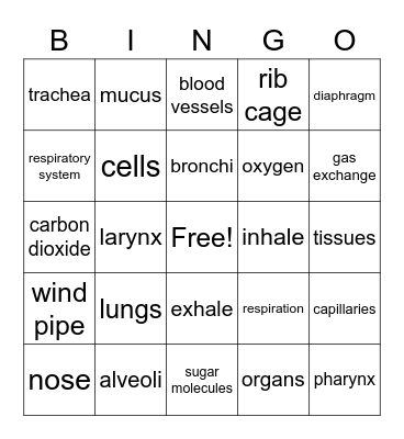 respiratory system bingo Card