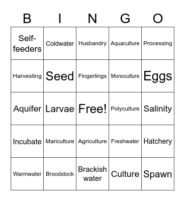 Aqua Vocab Bingo Card