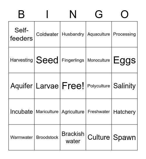 Aqua Vocab Bingo Card