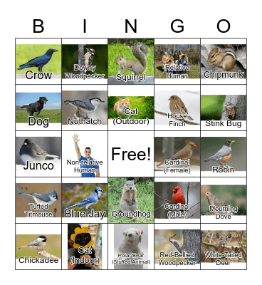 Animal Bingo Card