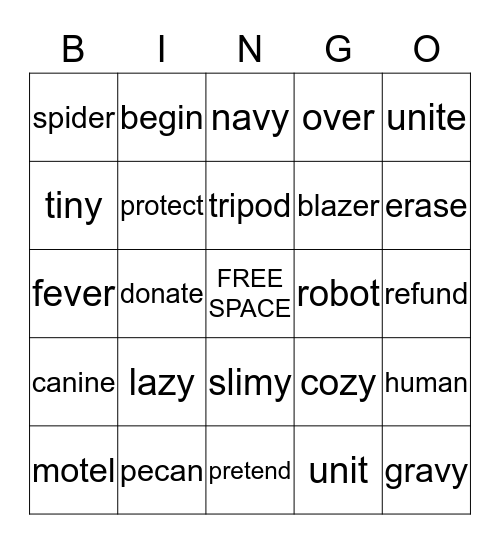 V/CV Bingo Card