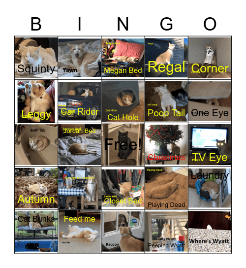 Wyatt Bingo Card