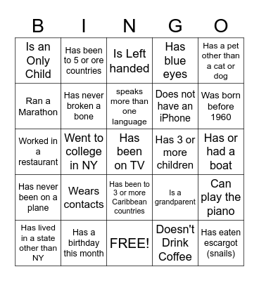 Icebreaker BINGO Card