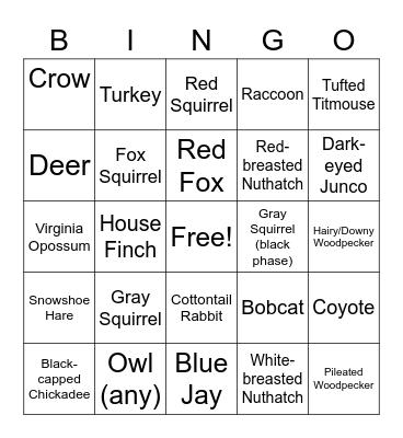 Michigan Winter Animals Bingo Card