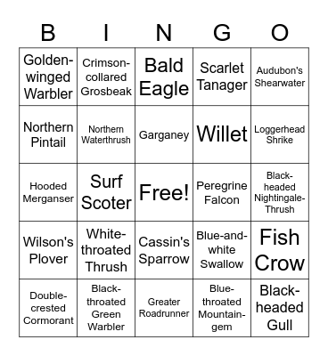 Bird Bingo Card