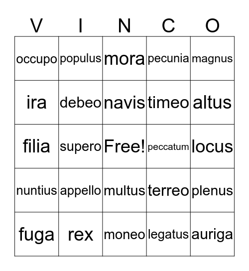VINCO Bingo Card