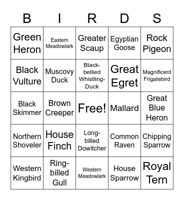 2022 Bird Bingo Card