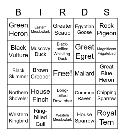 2022 Bird Bingo Card