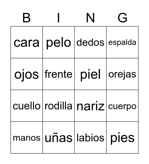 partes del cuerpo Bingo Card