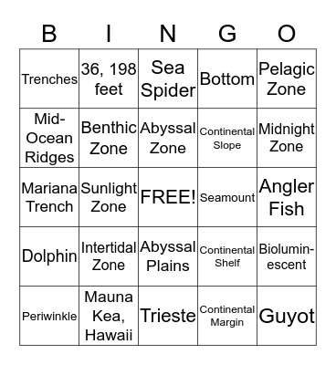 Ocean Bingo Review Bingo Card