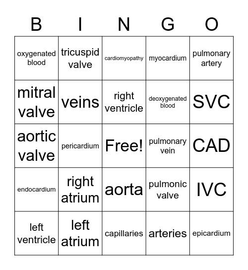 Cardiovascular terms Bingo Card