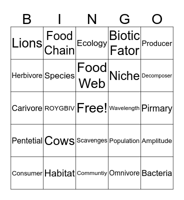 Science Rocks Bingo Card