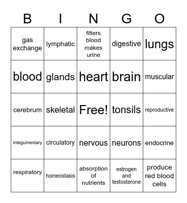 BODY SYSTEMS Bingo Card
