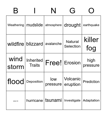 Natural Diaster Bingo Card