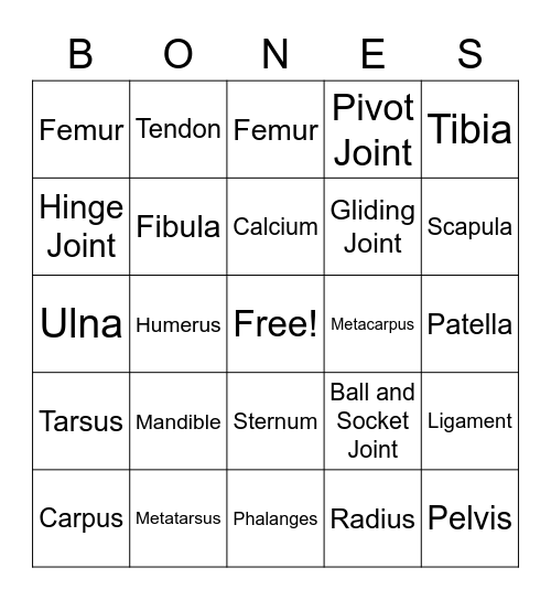 Skeletal System Bingo Card