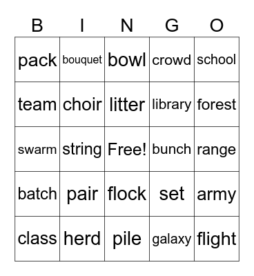 Collective Nouns Bingo Card