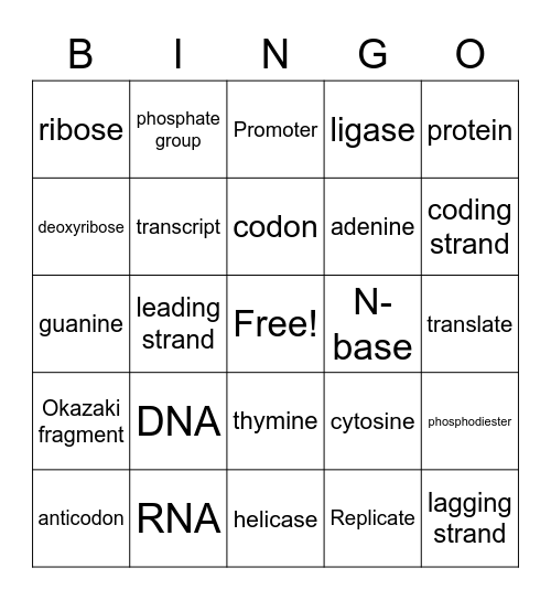 Molecular Genetics Bingo Card