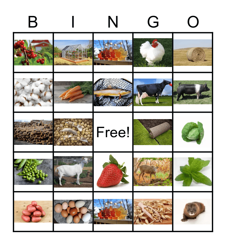 Agriculture Bingo! Bingo Card