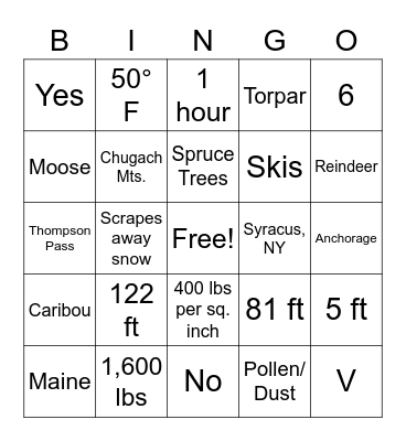 Bingo Fun! Bingo Card