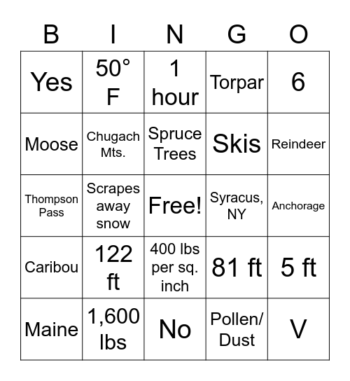 Bingo Fun! Bingo Card