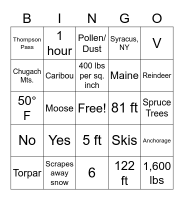Healy Bingo Fun! Bingo Card