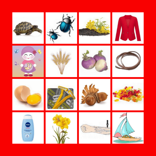 [ż-rz] N   (1) Bingo Card