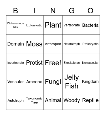 Classification Bingo Card