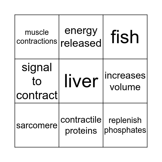 What is Creatine? Bingo Card