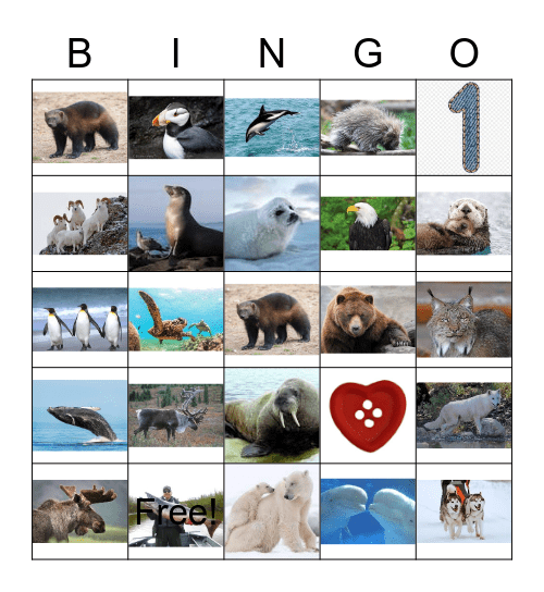 ALASKAN  ANIMALS Bingo Card