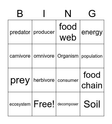 Web of Life Vocabulary Bingo Card