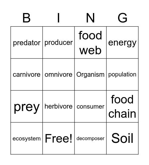 Web of Life Vocabulary Bingo Card