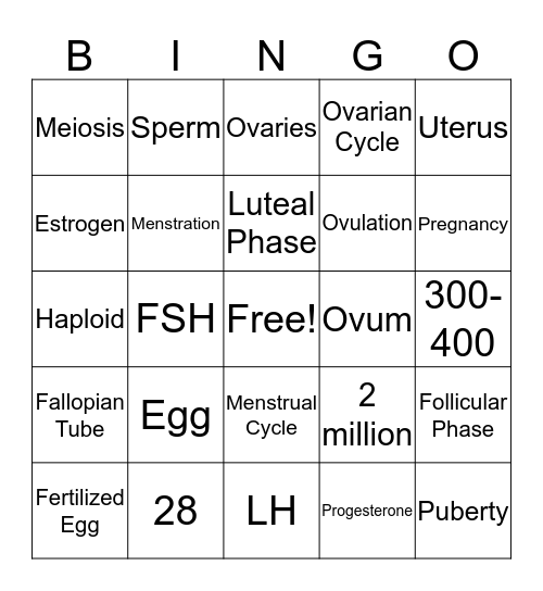 The Female Reproductive System Bingo Card