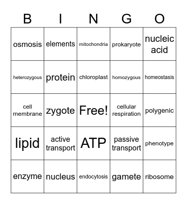 Biology Midterm Review Bingo Card