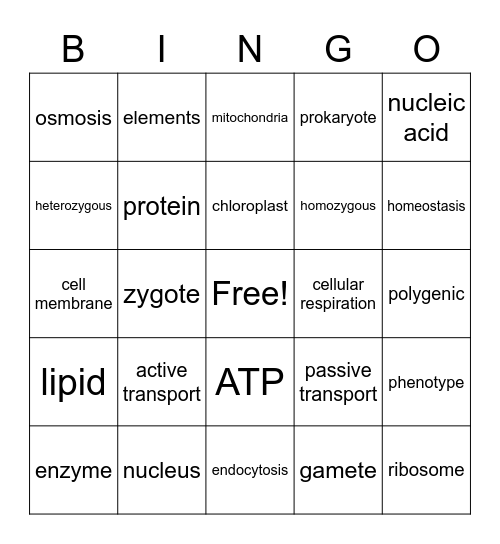 Biology Midterm Review Bingo Card