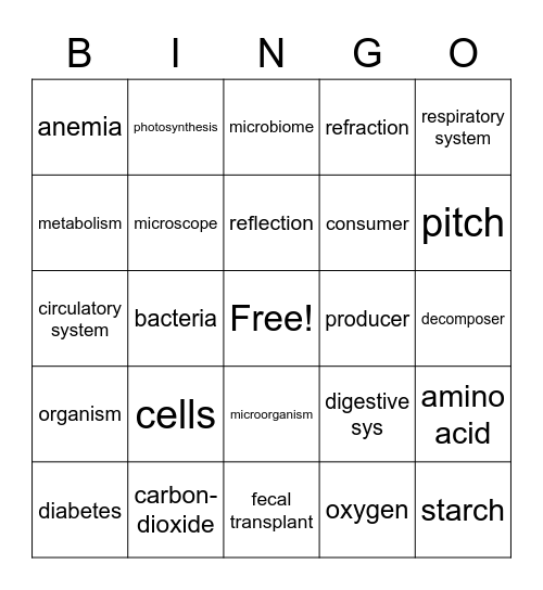 6th grade review bingo Card