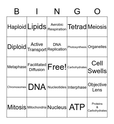Pre-Thanksgiving Biology Mid-Term Bingo Card