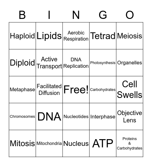 Pre-Thanksgiving Biology Mid-Term Bingo Card