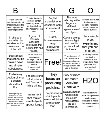 Science Terms   Bingo Card