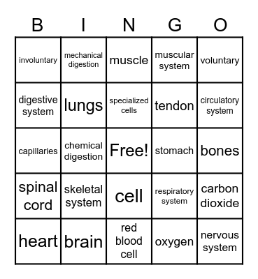HUMAN BODY BINGO Card