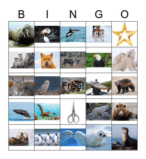 ALASKAN  ANIMALS Bingo Card