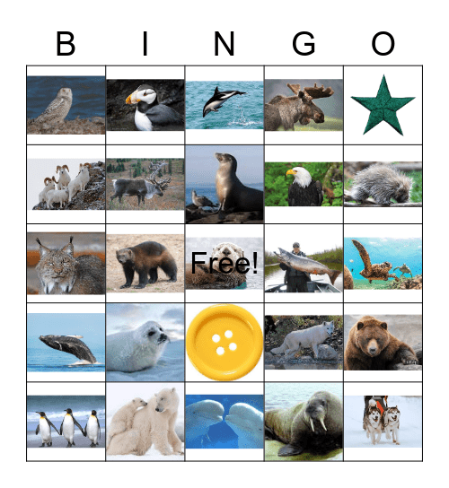 ALASKAN  ANIMALS Bingo Card